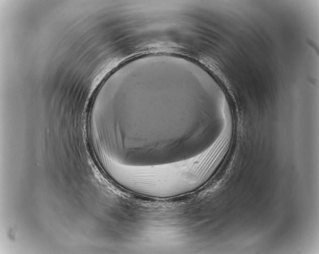 X0000102460941200808291539