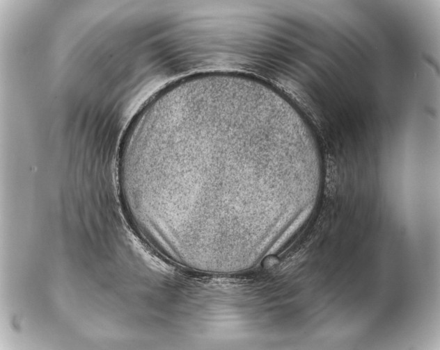 X0000102460942200808291539