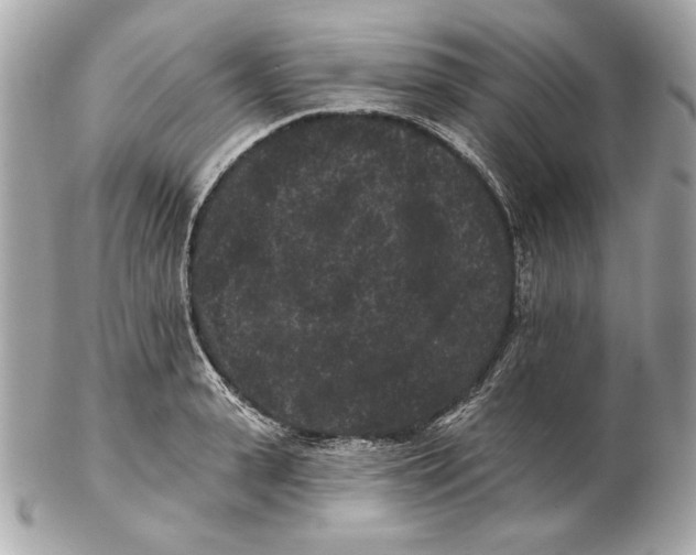 X0000102460943200808291539