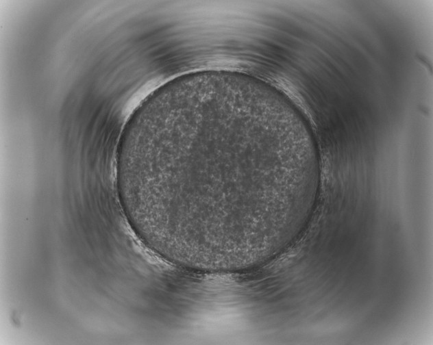 X0000102460944200808291539