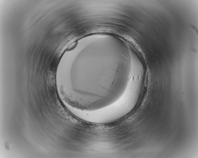 X0000102460945200808291539