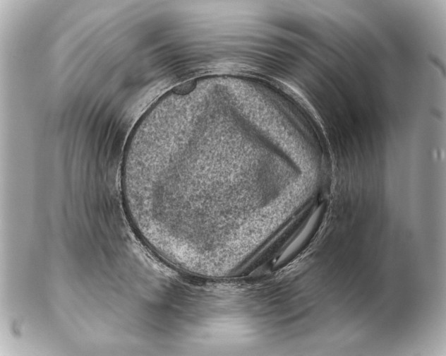 X0000102460946200808291539