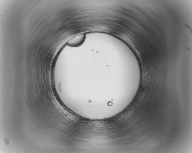 X0000102460947200808291539