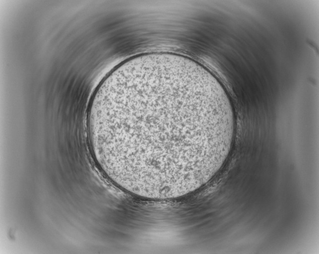 X0000102460948200808291539