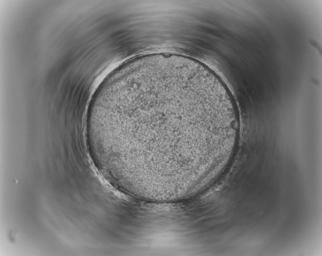 X0000102460949200808291539