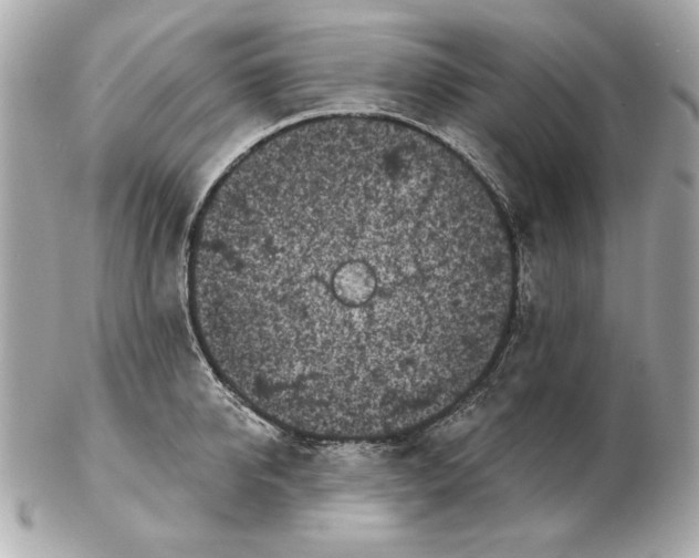 X0000102460950200808291539