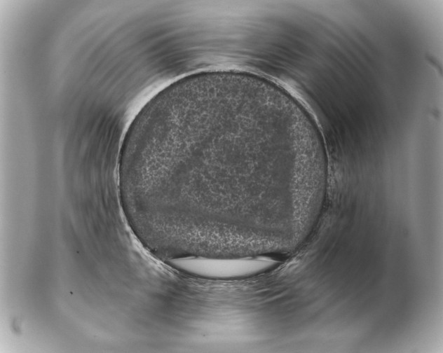 X0000102460951200808291539