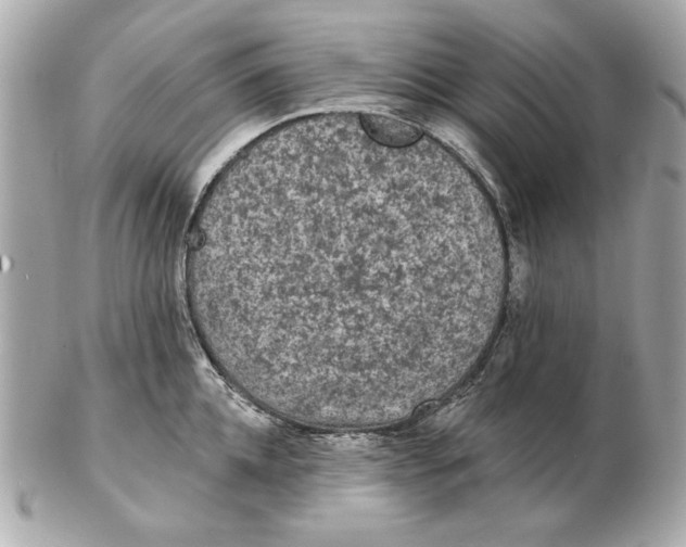 X0000102460952200808291539