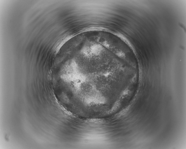 X0000102460953200808291539