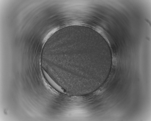 X0000102460954200808291539