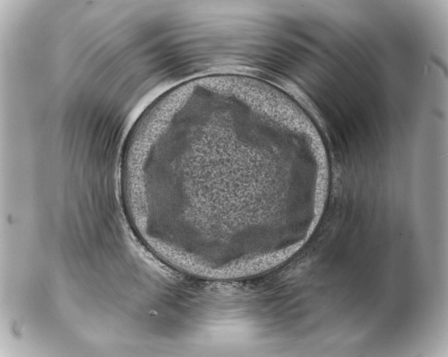 X0000102460955200808291539