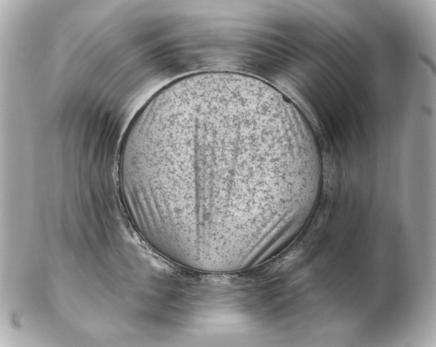 X0000102460956200808291539