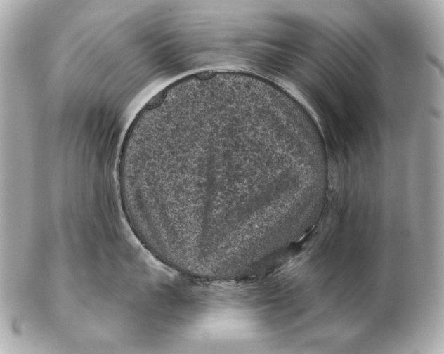 X0000102460959200808291539