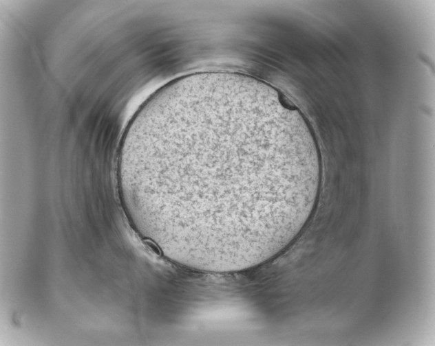 X0000102460960200808291539