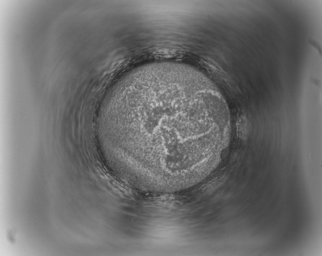 X0000102460961200808291539