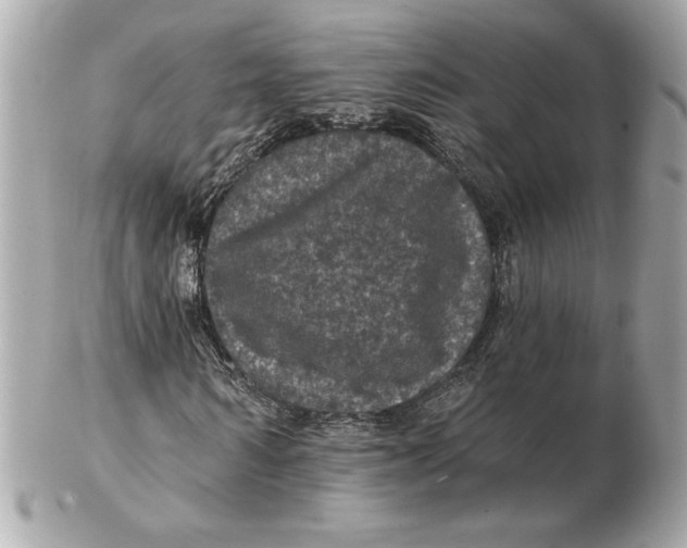 X0000102460962200808291539