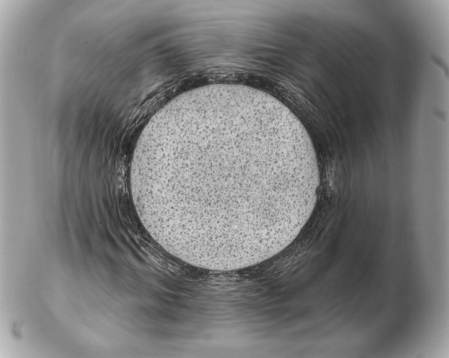 X0000102460964200808291539