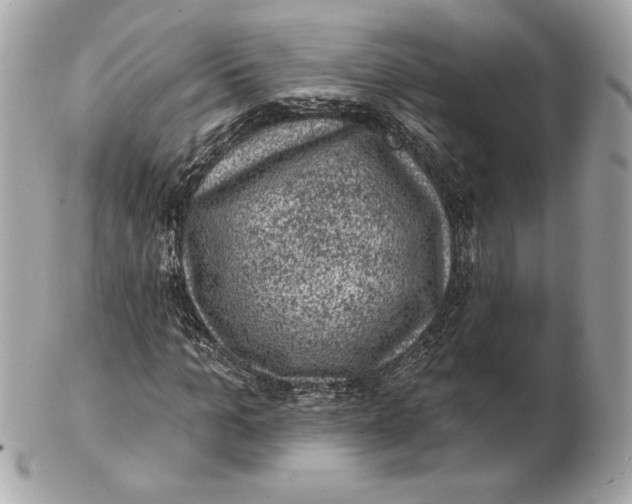 X0000102460965200808291539