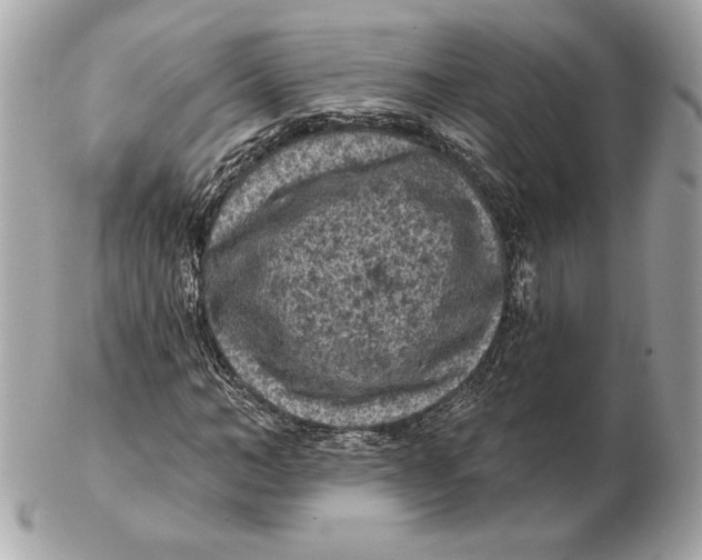 X0000102460966200808291539