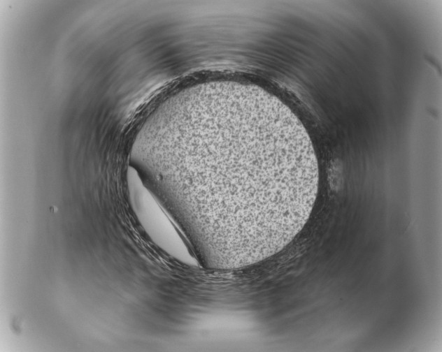 X0000102460968200808291539