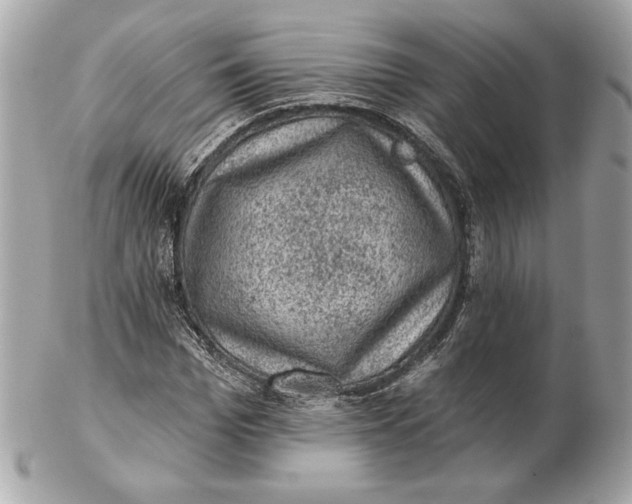 X0000102460969200808291539