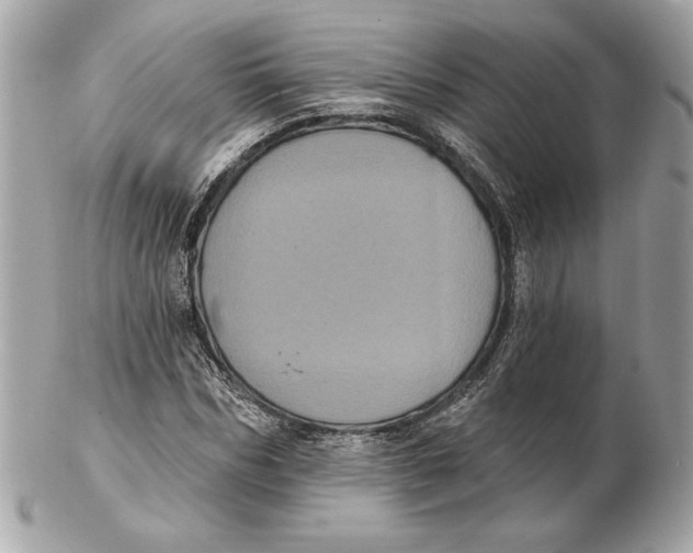 X0000102460970200808291539