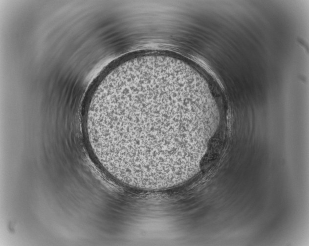 X0000102460972200808291539