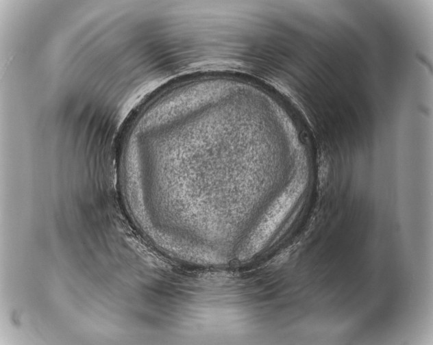 X0000102460973200808291539