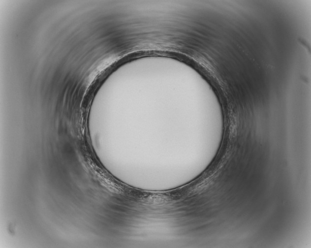 X0000102460974200808291539