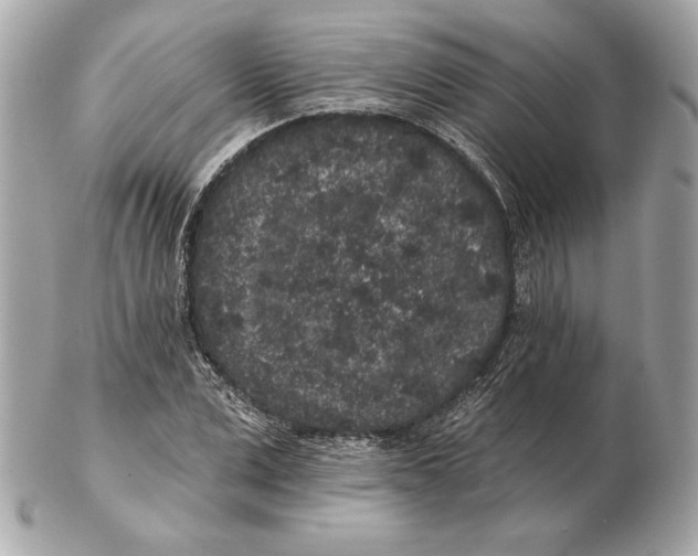 X0000102460975200808291538