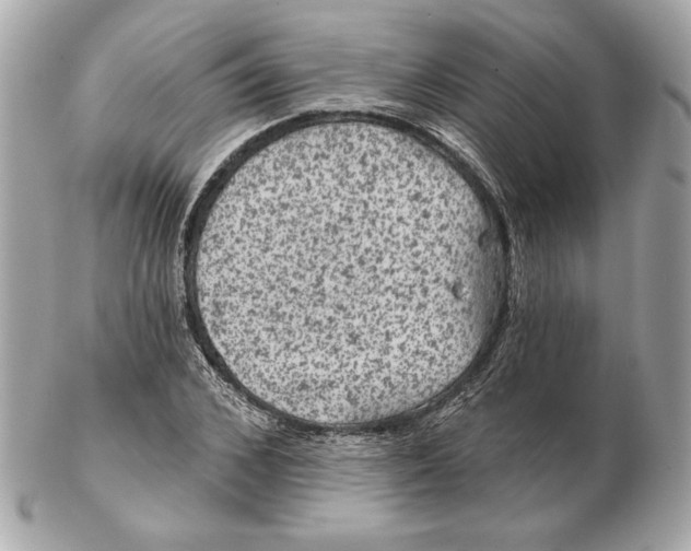 X0000102460976200808291538