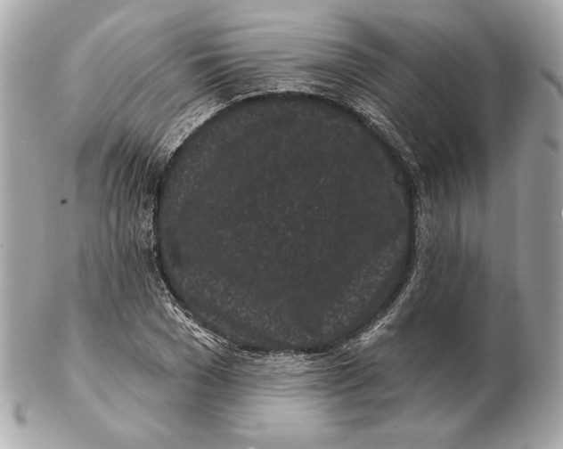 X0000102460977200808291538