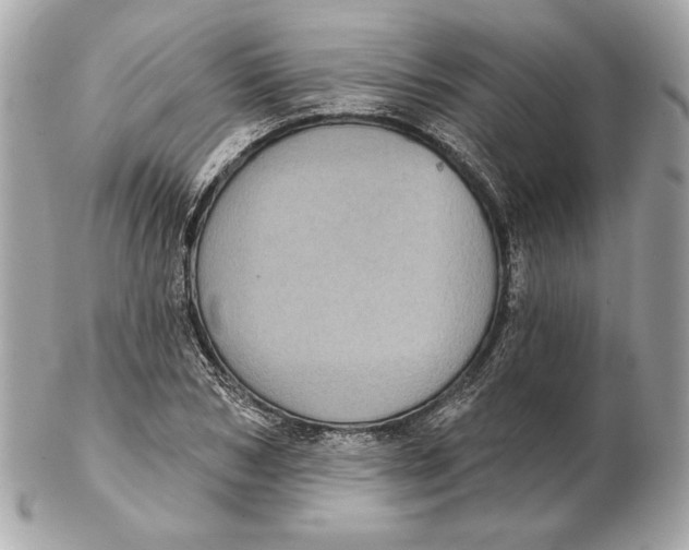 X0000102460978200808291538