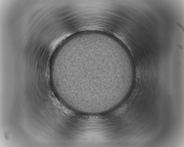 X0000102460979200808291538