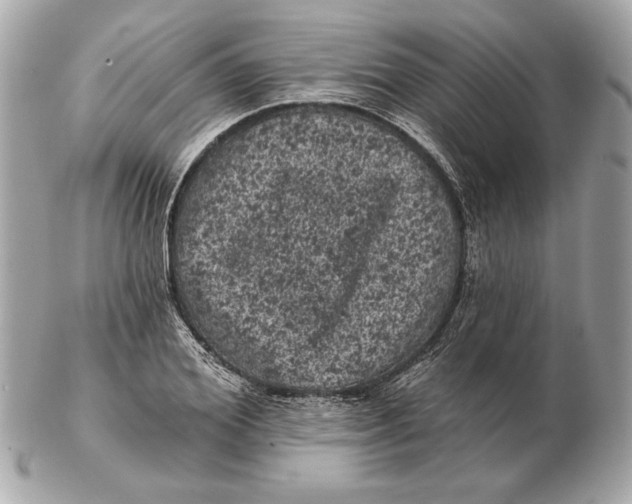 X0000102460980200808291538