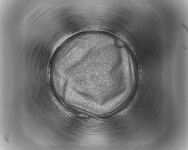 X0000102460981200808291538