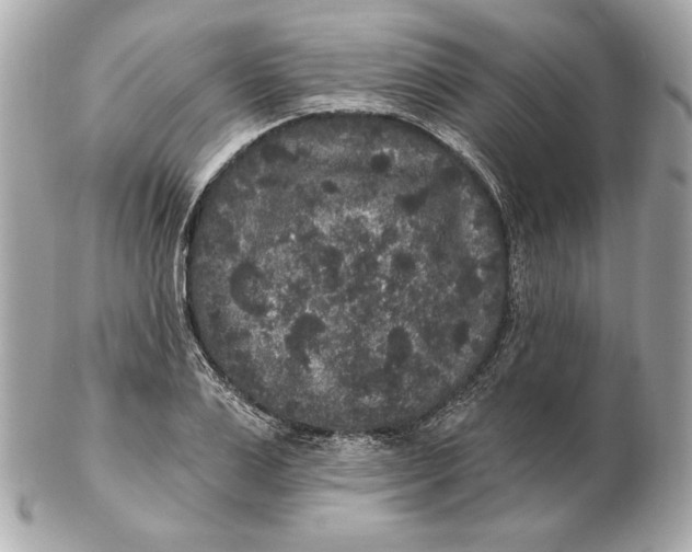 X0000102460983200808291538