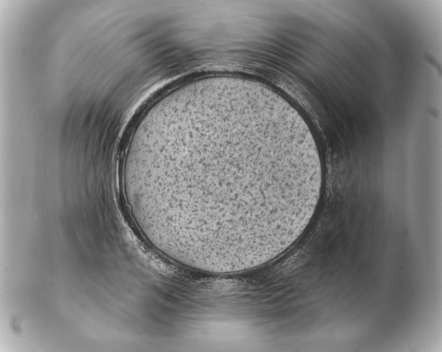 X0000102460984200808291538