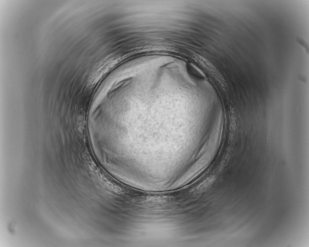 X0000102460985200808291538