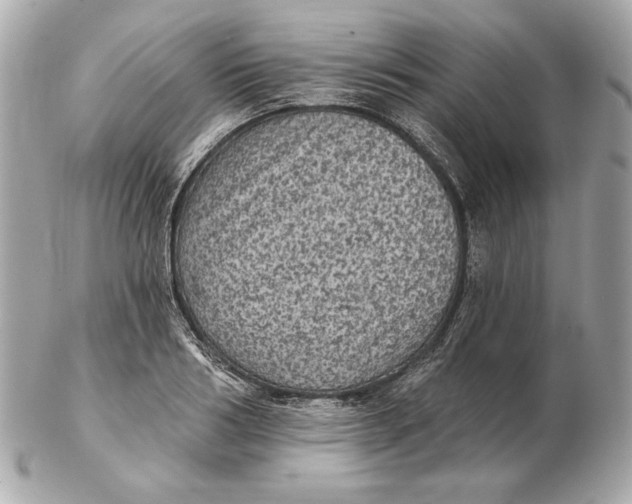 X0000102460986200808291538