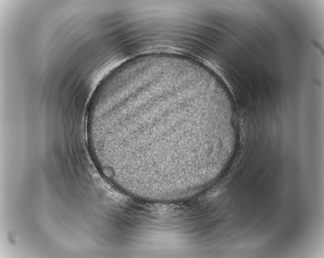 X0000102460987200808291538