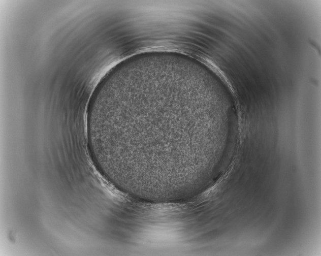 X0000102460988200808291538