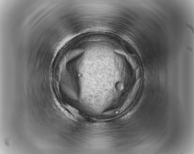 X0000102460989200808291538