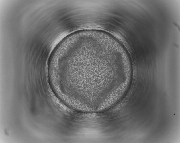 X0000102460990200808291538