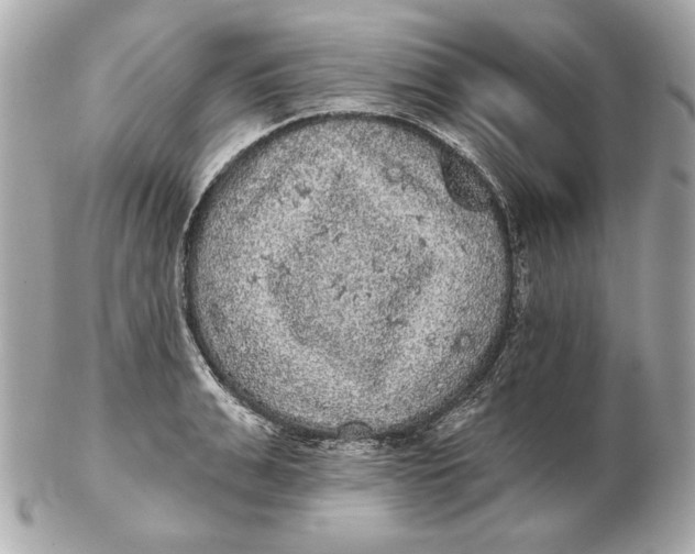 X0000102460991200808291538