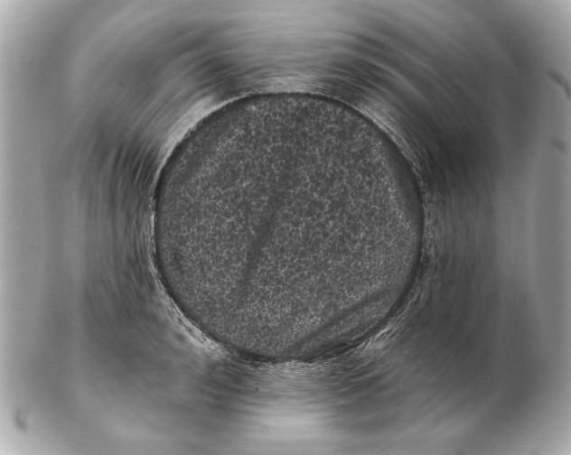 X0000102460992200808291538