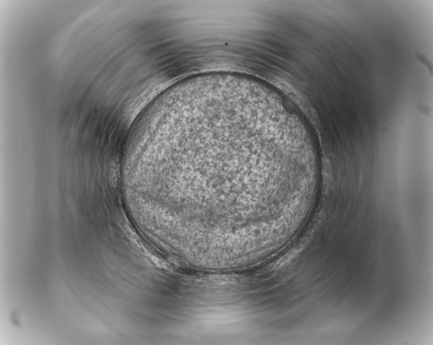 X0000102460993200808291538