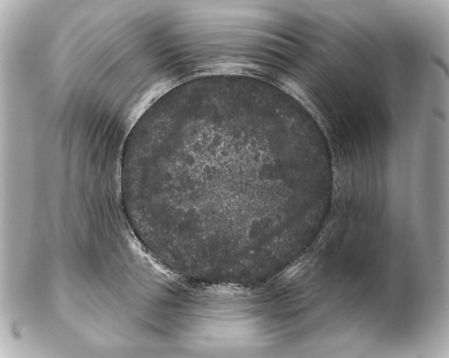 X0000102460994200808291538