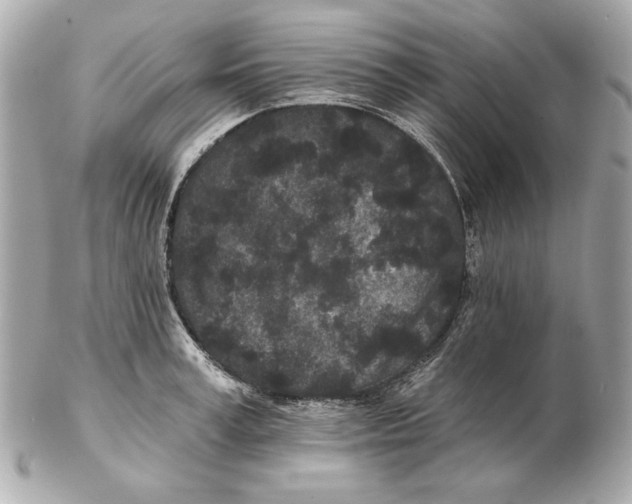 X0000102460995200808291538