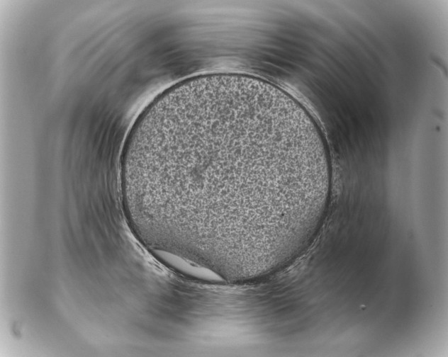 X0000102460996200808291538